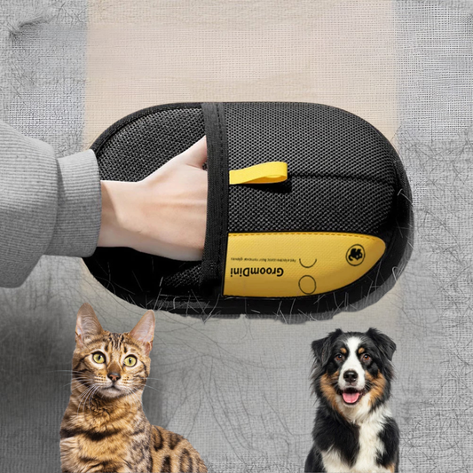 Gant anti-poils chat électrostatique | Petivay
