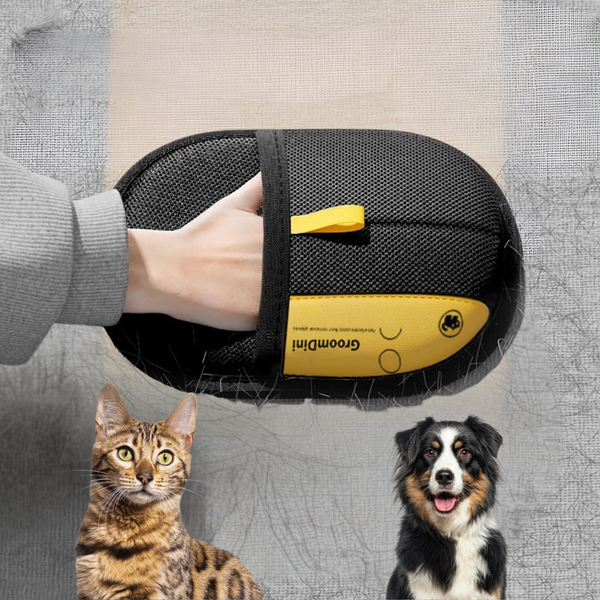 Gant anti-poils chat électrostatique | Petivay